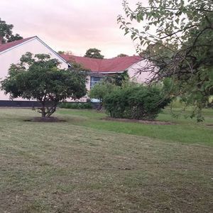 Meet your Posher, Ruth